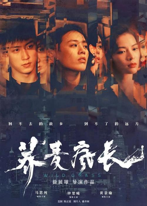 卧龙岗大学DiplomainMarketing